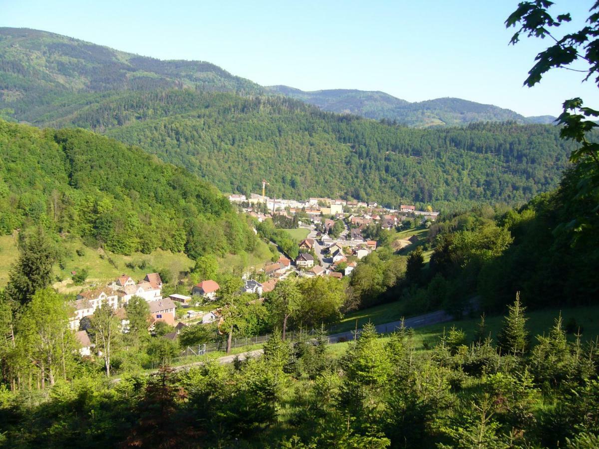 Le Tricotin 2-4 Personnes Apartment